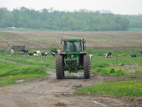 Heading down to the pasture.