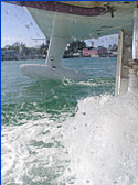 landing in Bimini harbor