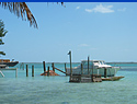 Boats at anchor