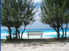 A very peaceful bench A very peaceful bench