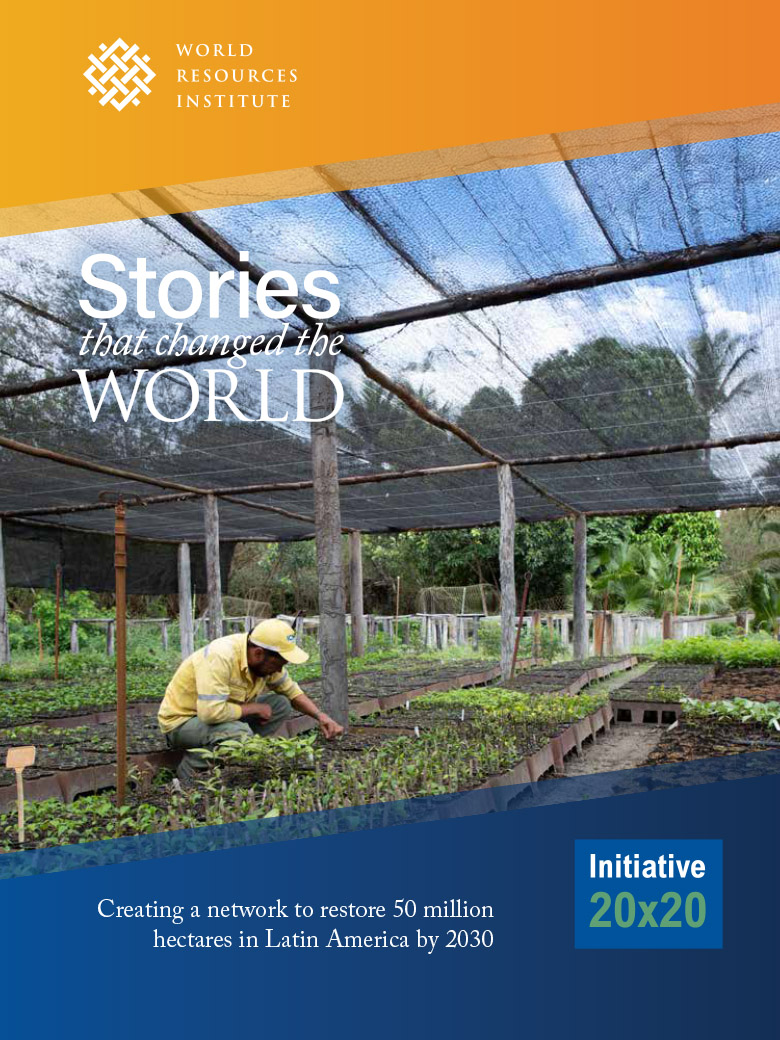A cover of the Initiative 20x20 brochure.